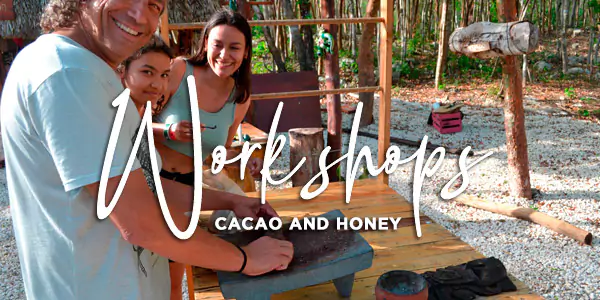 workshops-cacao-and-honey