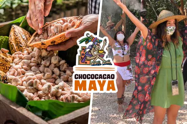 Entradas a Chococacao manos agarrando cacao