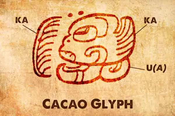 Mayan Glyph for Cacao