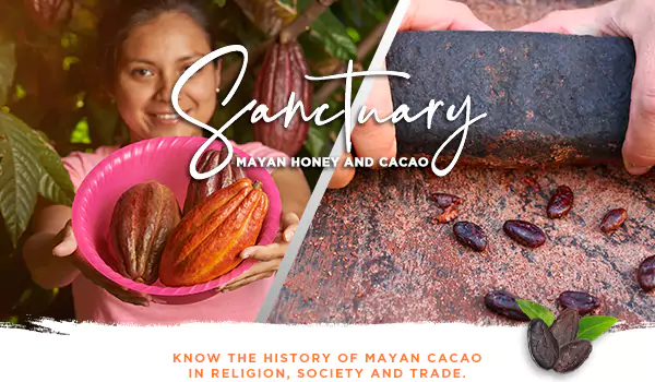 Entrance to Sanctuary of cacao and mayan honey