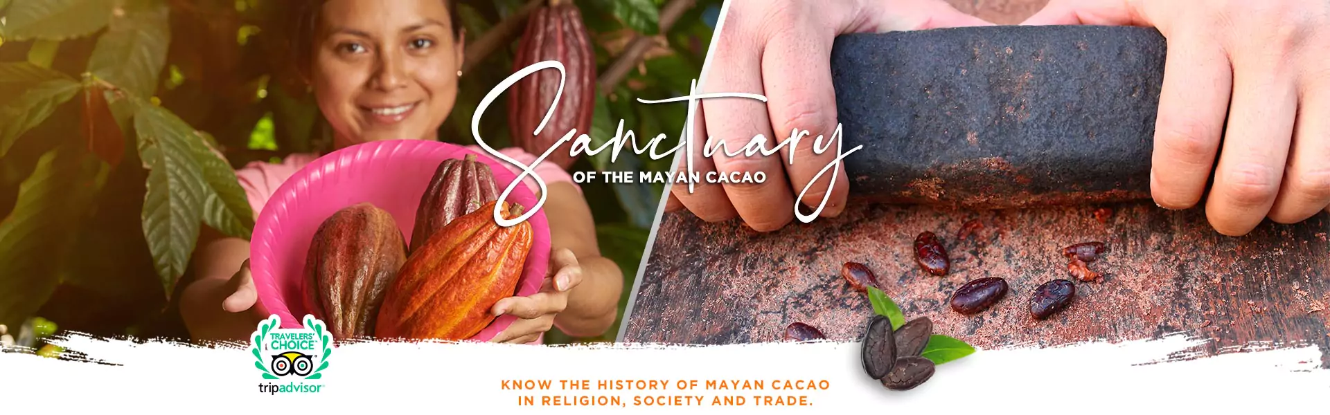 Entrance to Sanctuary of cacao and mayan honey