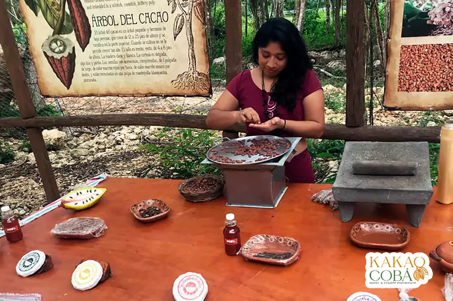 cacao-workshop-experience-in-tulum-near-coba