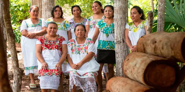 Mujeres Mayas cuidando abejas en Cobá