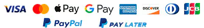 paypal pay later modality