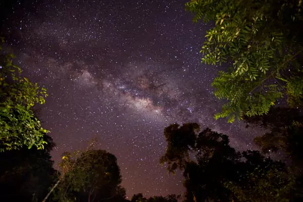 Night with stars at the jungle of Coba