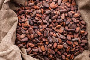 Cacao natural beans in bag