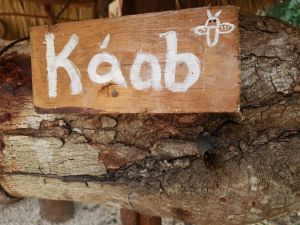 Wooden board of kaab