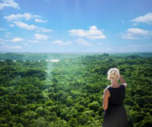 jungle view from the top of coba pyramid