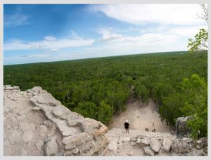Top view of the jungle from the top of pyramid of coba
