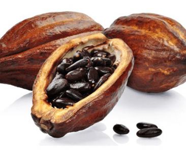 Natural cacao beeds