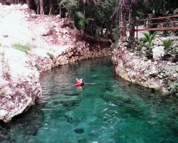 clear water of cenote in Riviera Maya