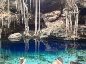 Crystalline water of cenote at Tulum