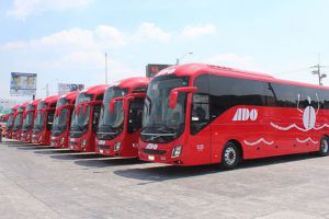 ADO bus fleet