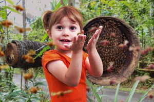 blond girl interacting with inofensive melipona bees