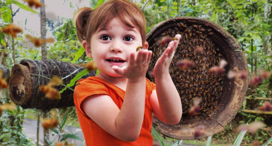 blond girl interacting with inofensive melipona bees