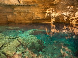 clear water of cenote
