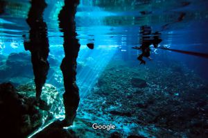 underwater escene of gran cenote