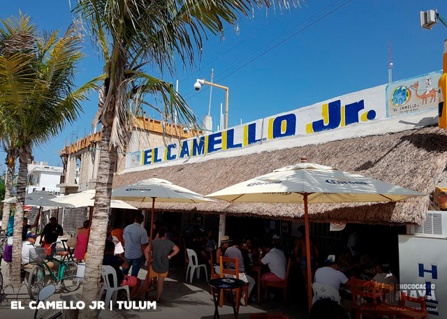 el camello jr fish and shrimp tacos in tulum